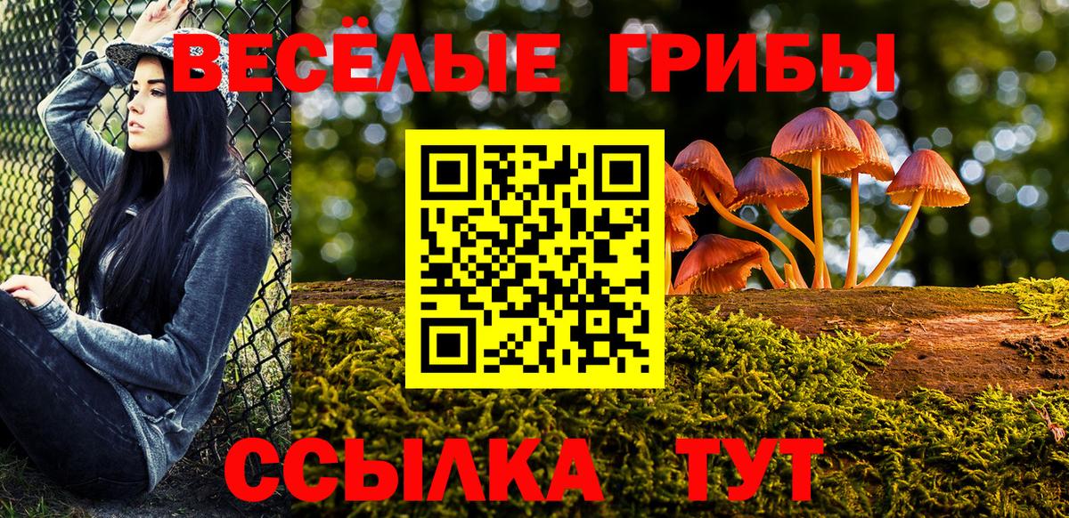 Псилоцибиновые грибы ЛСД Истра
