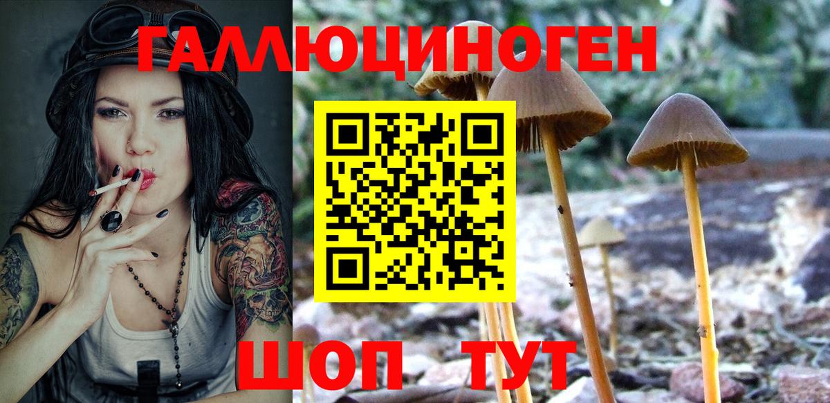Псилоцибиновые грибы MAGIC MUSHROOMS  Вход с VPN  Истра 